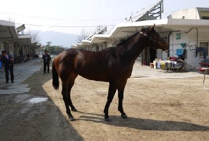 �ʴ¿��̽� ����