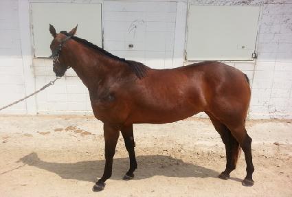 ���̽�Ÿ ����