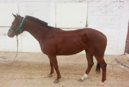 ���ۺ����̵� ����