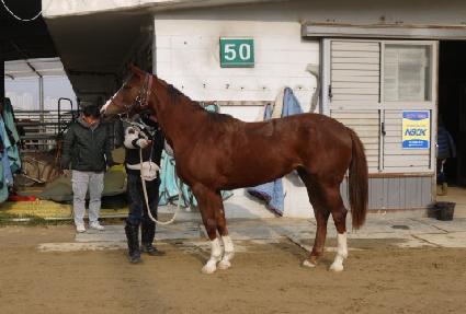 ��Ʋ�� ����