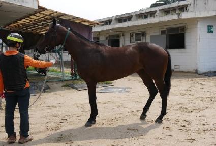 �ݰ�õ�� ����