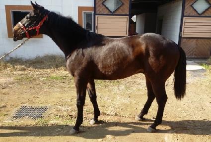 Ʈ����ź ����