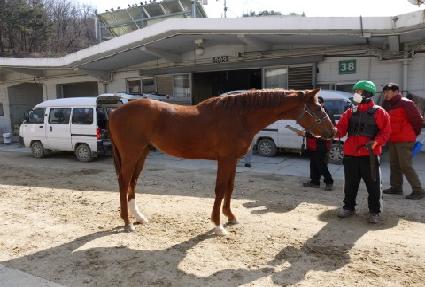 ��嵥�� ����