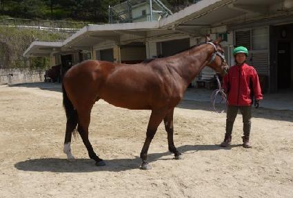 ����� ����