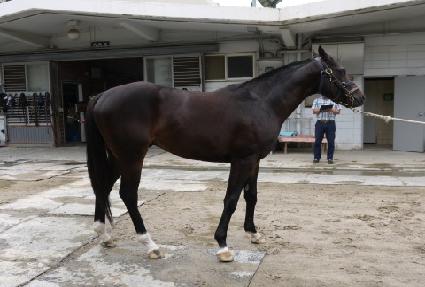 �����Ŀ� ����