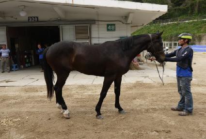 ���ƶ� ����