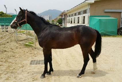 ����Ƽ�弱 ����