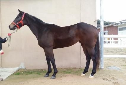 ����ȷ�Ű ����