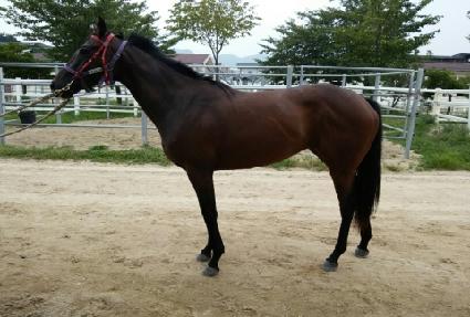 �̶�Ŭ��Ʈ ����