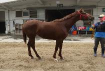 �ູ��Ʈ�� (HAENGBOK PARTNER) ����