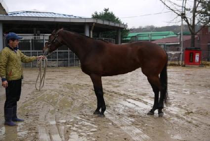 ����õ�� ����