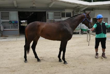 ��巰Ű ����