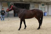 ûõ�� (CHEONGCHEONHAE) ����