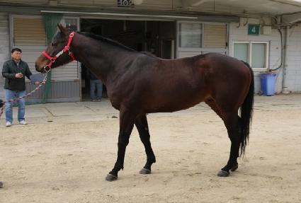 ûõ�� ����