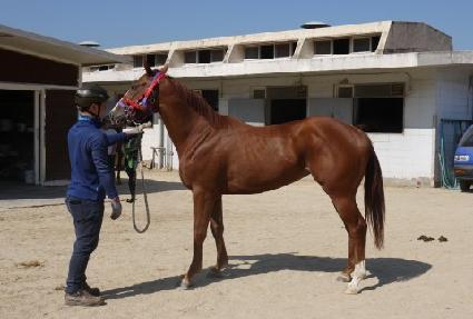 ��Ʈ�ڵ� ����