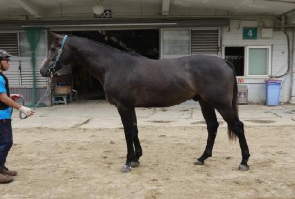 ��ƹ����� ����