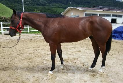 Ž��õ�� ����