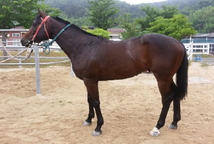 �߾Ӵ�� ����