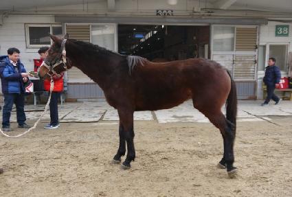 ������ ����