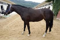 �η����� (LORELEI) ����