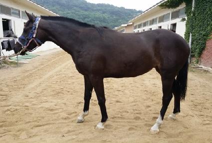 �η����� ����