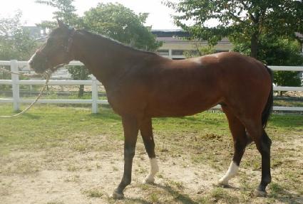 ��Ʈ���� ����