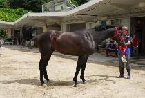 õ���Լ� (CHEONNYEONHAMSUNG) ����