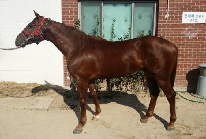 ���ѵ�ǳ ����