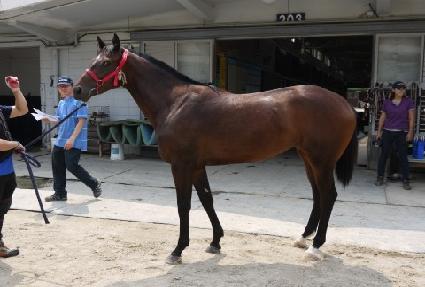 â������ ����