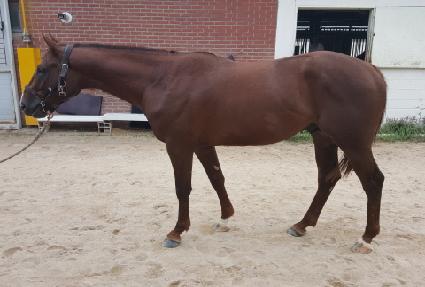 ����Ʈŷ ����