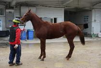 �����ҳ� (DANGCHAN SONYEO) ����