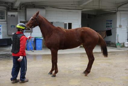 �����ҳ� ����