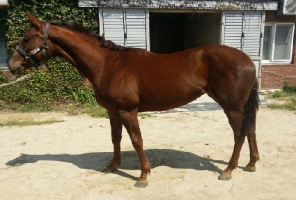 �׶����� ����