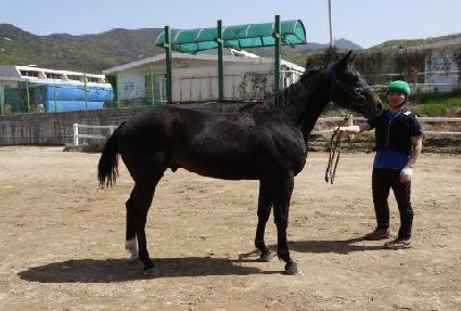 �������Ŀ ����