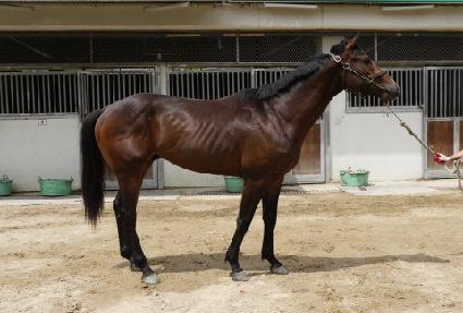 Ȳ�ݹ��� ����