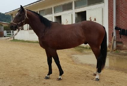 �Ƹ��ٵ� ����