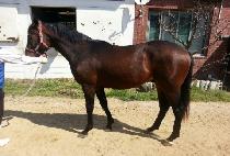 ���ڶ�� (GANGJA TTEUNDA) ����