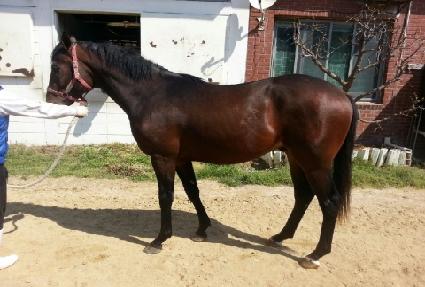 ���ڶ�� ����