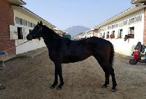 �����ǹ��� (JEONSEOLUI MIIN) ����