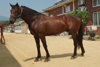 �ָ��Ǹ�ȭ ����