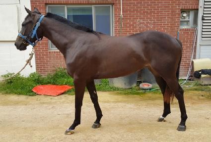 �Ѷ��� ����