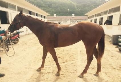 �������� ����