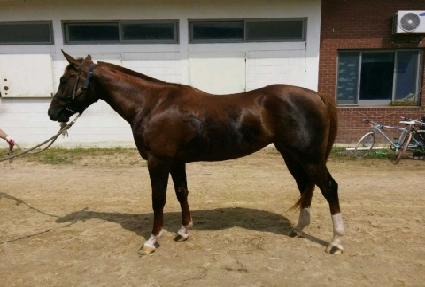 �ѳ���� ����