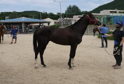 �������� ����