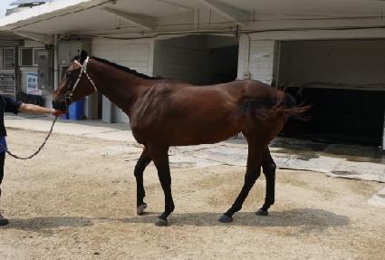 ķ���� ����