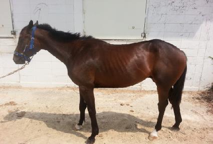 ������Ÿ ����