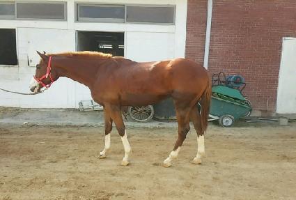 �����ѿ�� ����