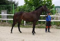 SEUNGNI ANGEL picture