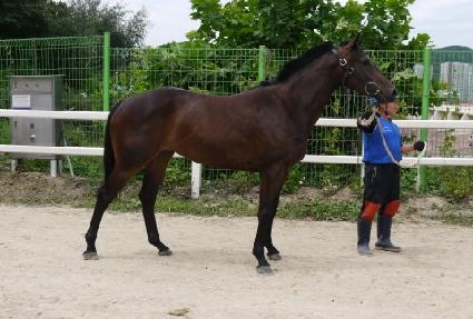 �¸����� ����