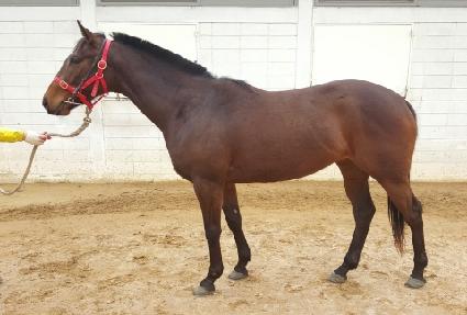 ��ũ�����̵� ����